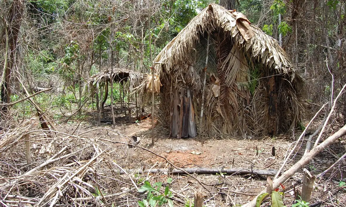 Futuro da área onde viveu “Índio do Buraco” é alvo de disputa judicial -  (crédito: EBC)