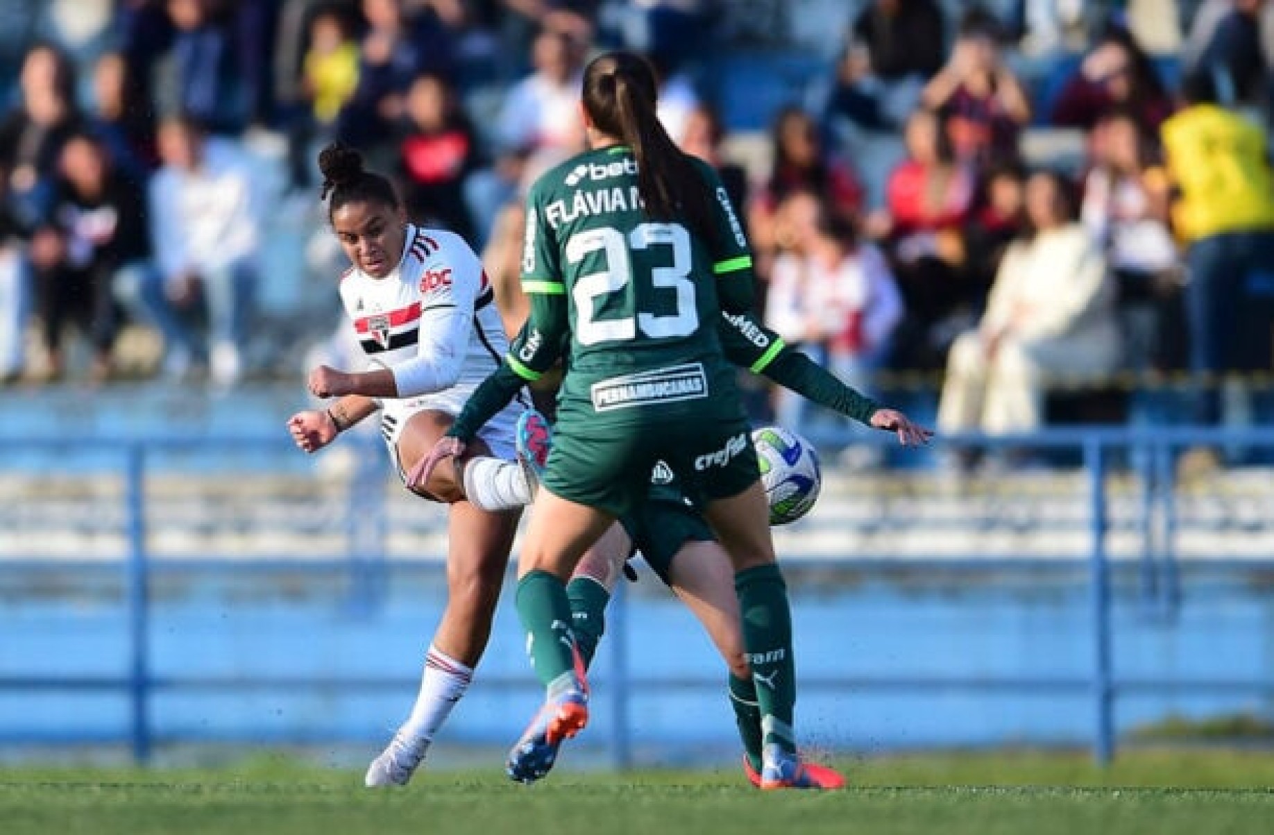 São Paulo x Palmeiras (feminino): onde assistir, escalações, arbitragem
