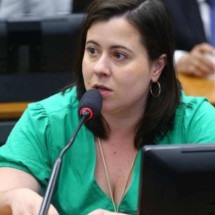 Petição contra PL 'antiaborto' supera 100 mil assinaturas em dois dias - Vinicius Loures/C&acirc;mara dos Deputados