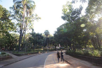 Parque Municipal Américo Renné Giannetti é uma das principais áreas verdes de Belo Horizonte -  (crédito: Alexandre Guzanshe/EM/D.A Press)