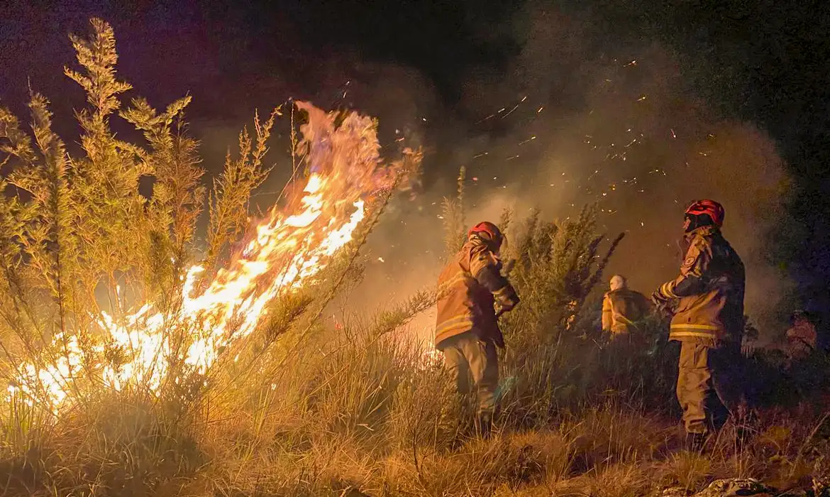 Fogo atinge 200 hectares do Parque Nacional do Itatiaia -  (crédito: EBC)