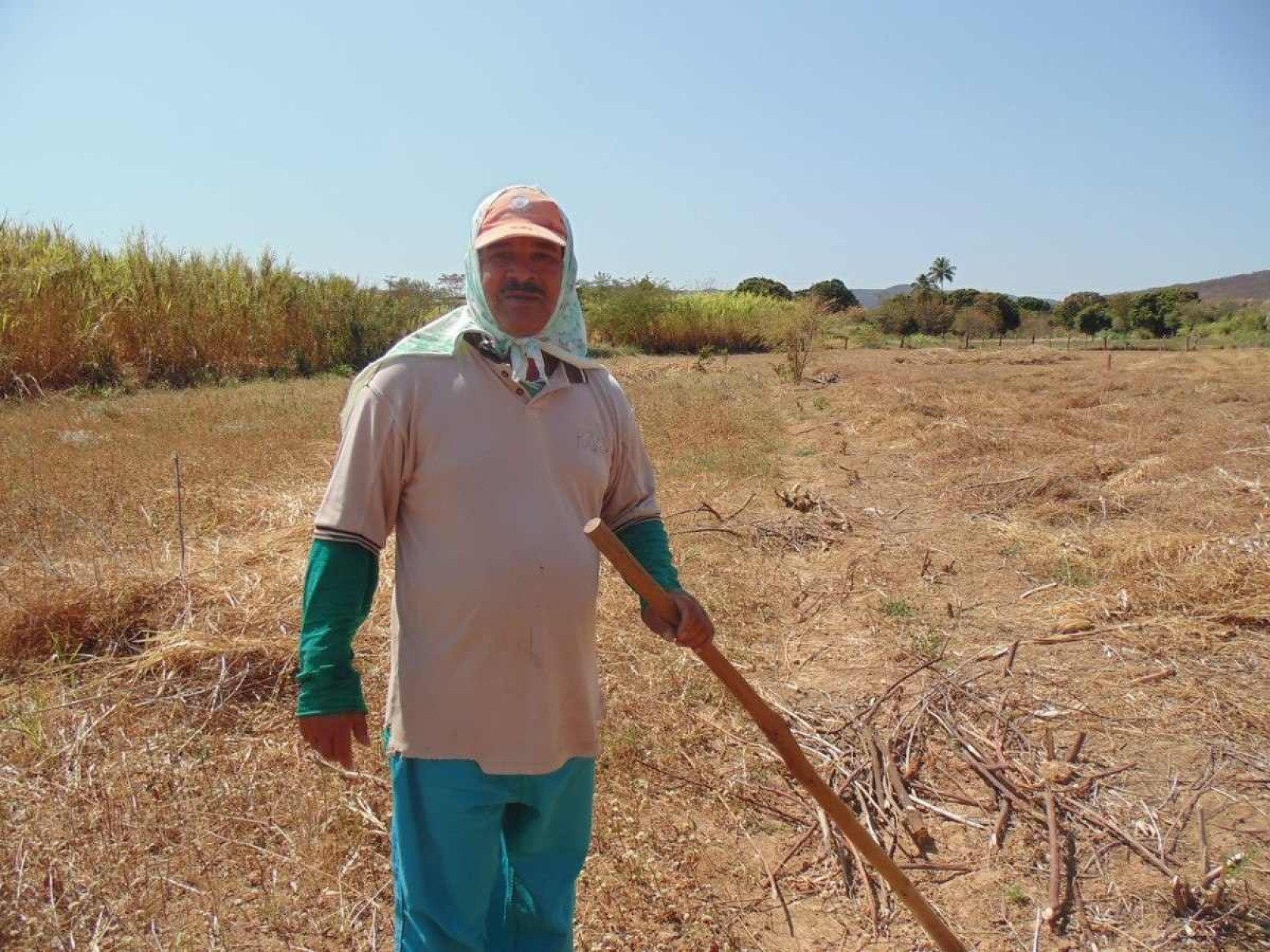 MG: produtores rurais atingidos por excessos climáticos vão receber auxílio