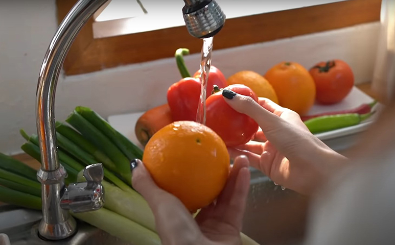 Saiba congelar alimentos e ganhe tempo no dia a dia