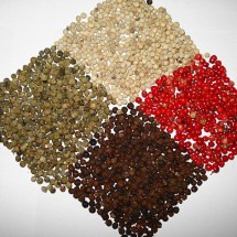 De dar água na boca: O toque de temperos e especiarias na culinária - Miansari66  wikimedia commons