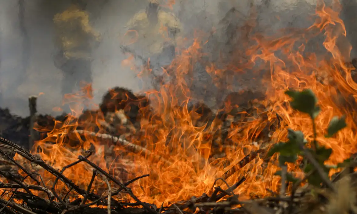 Quase 1/4 do território brasileiro pegou fogo nos últimos 40 anos -  (crédito: EBC)