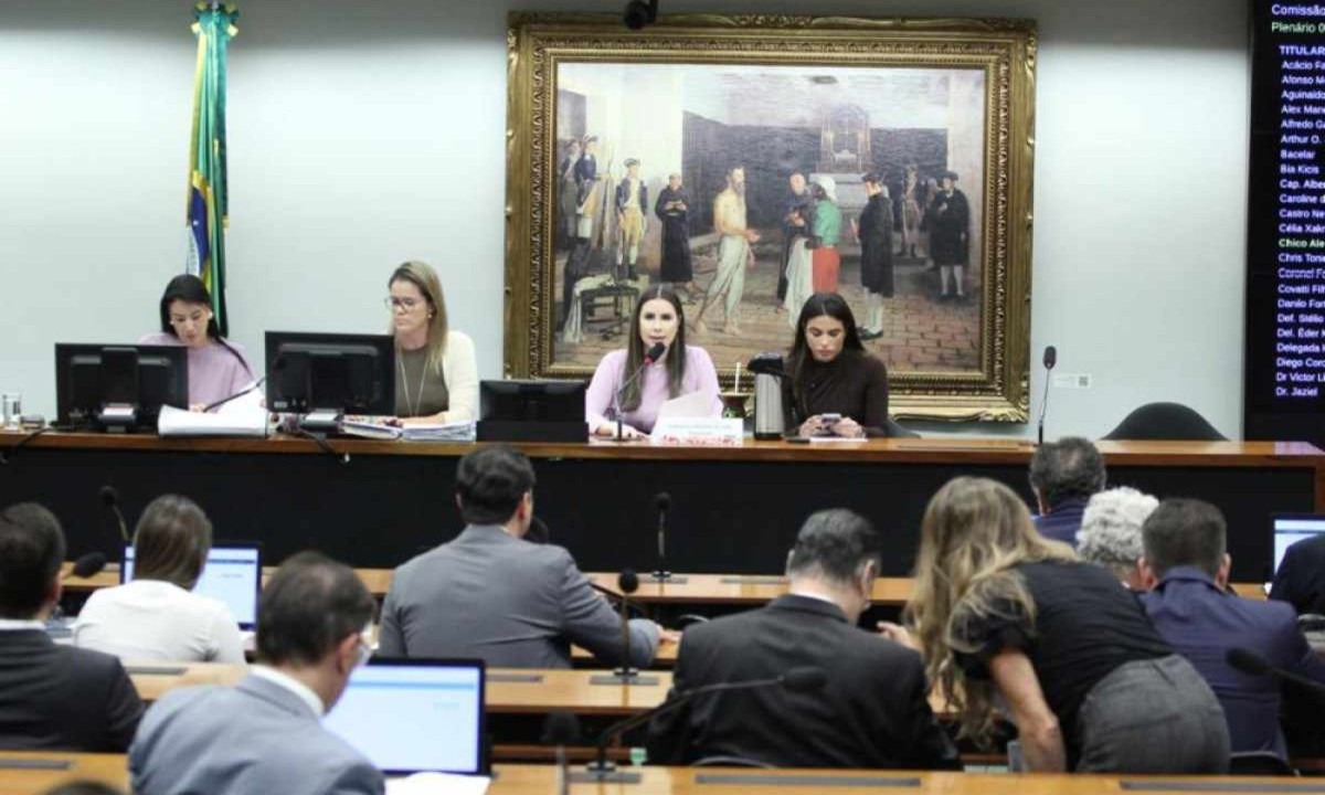 Projeto entrou na pauta da CCJ desta quarta-feira, mas não foi votado -  (crédito: Vinicius Loures/Câmara dos Deputados)