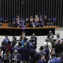 RS: Câmara aprova PL que alivia dívidas de produtores rurais - Zeca Ribeiro/Câmara dos Deputados