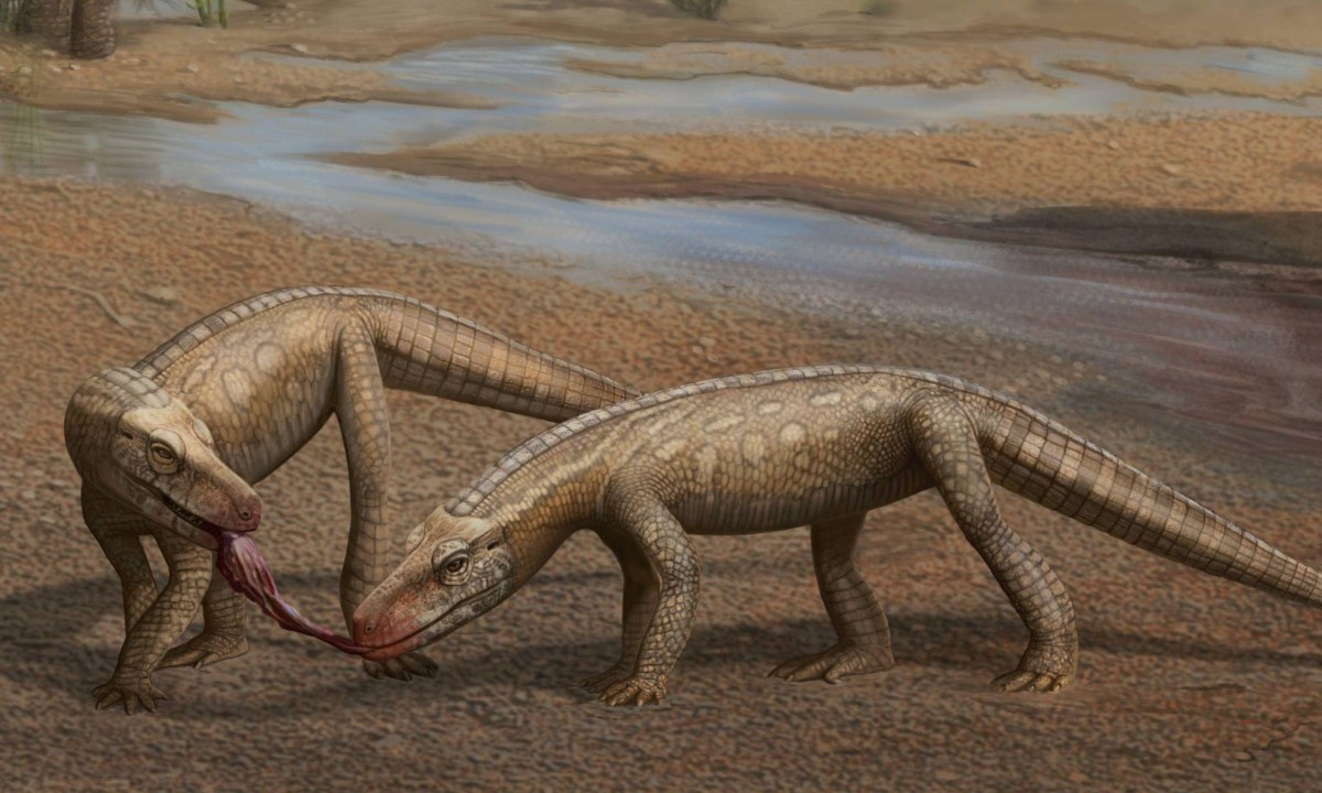 Detalhes do Parvosuchus aurelioi. Esqueleto por Rodrigo Temp Müller; Ilustração em vida por Matheus Fernandes Gadelha -  (crédito: Janaína Brand Dillmann)