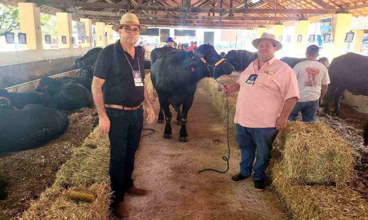 João Sousa e Caio Rossato, da Associação Brasileira de Criadores de Búfalo, com animais expostos na Megaleite -  (crédito: Marcílio de Moraes/EM/D.A Press)