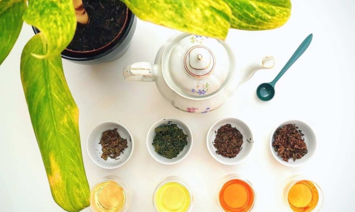 Chá é a bebida derivada da planta Camellia sinensis e é o seu processamento que confere os diferentes perfis sensoriais de cada chá  -  (crédito: Fran Micheli/Divulgação)