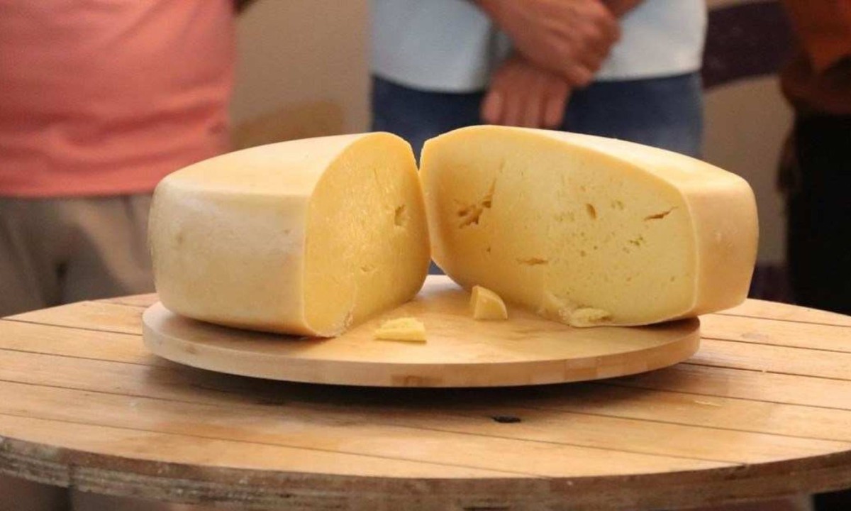 O queijo artesanal já faz parte da cozinha mineira -  (crédito: Sistema Faemg/Senar/Divulgação)