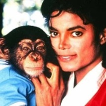 Chimpanzé de Michael Jackson ainda está vivo e mora na Flórida - Instagram/Reprodução