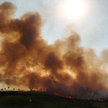 'Fogo chegou antes da hora. É assustador': a luta para enfrentar incêndios no Pantanal - Ueslei Marcelino/Reuters