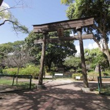 Pedacinho do Japão em Belo Horizonte - Edésio Ferreira/EM/D.A Press