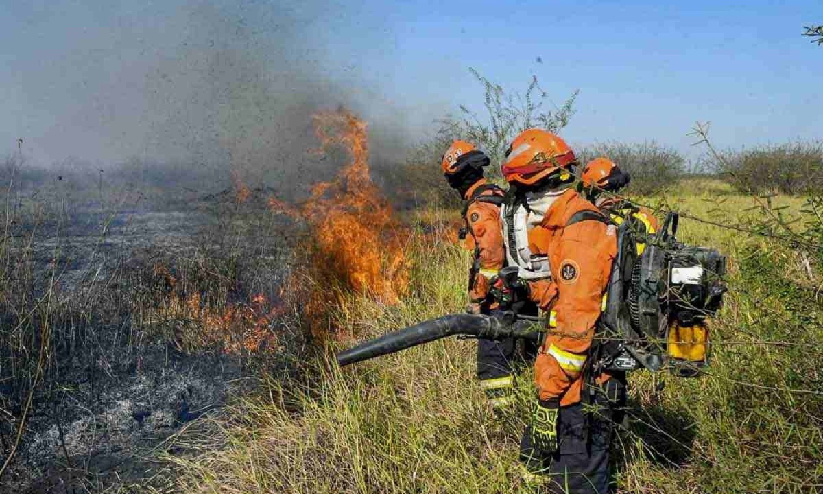 Brigadistas combatem chamas na região de Corumbá, onde os focos cercaram a cidade no fim de semana -  (crédito: AFP Photo/Governo do Mato Grosso so Sul)