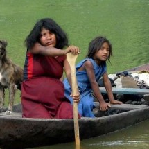 'A língua que falamos determina como pensamos': americano que cresceu com indígenas na Amazônia explica relação - Emily Fakhoury