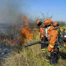 A caixa-d’água do Brasil está pegando fogo - AFP Photo/Governo do Mato Grosso so Sul
