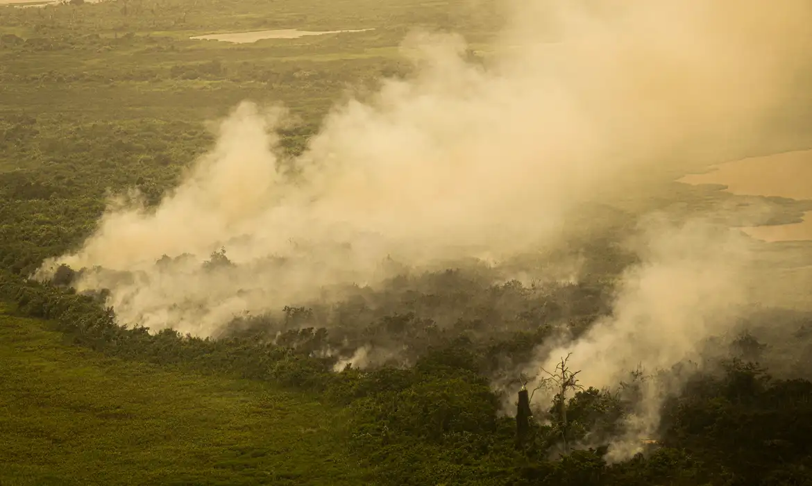 Com incêndios, Mato Grosso do Sul decreta situação de emergência  -  (crédito: EBC)