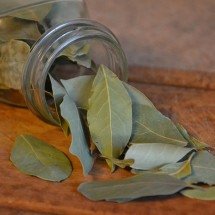 Conheça os benefícios das folhas de louro para a saúde - Imagem de Anna por Pixabay