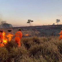 Bombeiros ampliam efetivo após aumento de incêndios florestais em Minas - CBMMG/Divulgação
