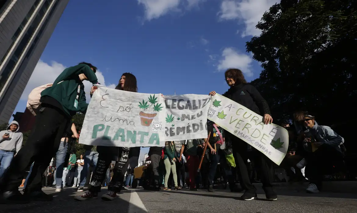 Lula diz que ciência deve decidir sobre uso de maconha -  (crédito: EBC)