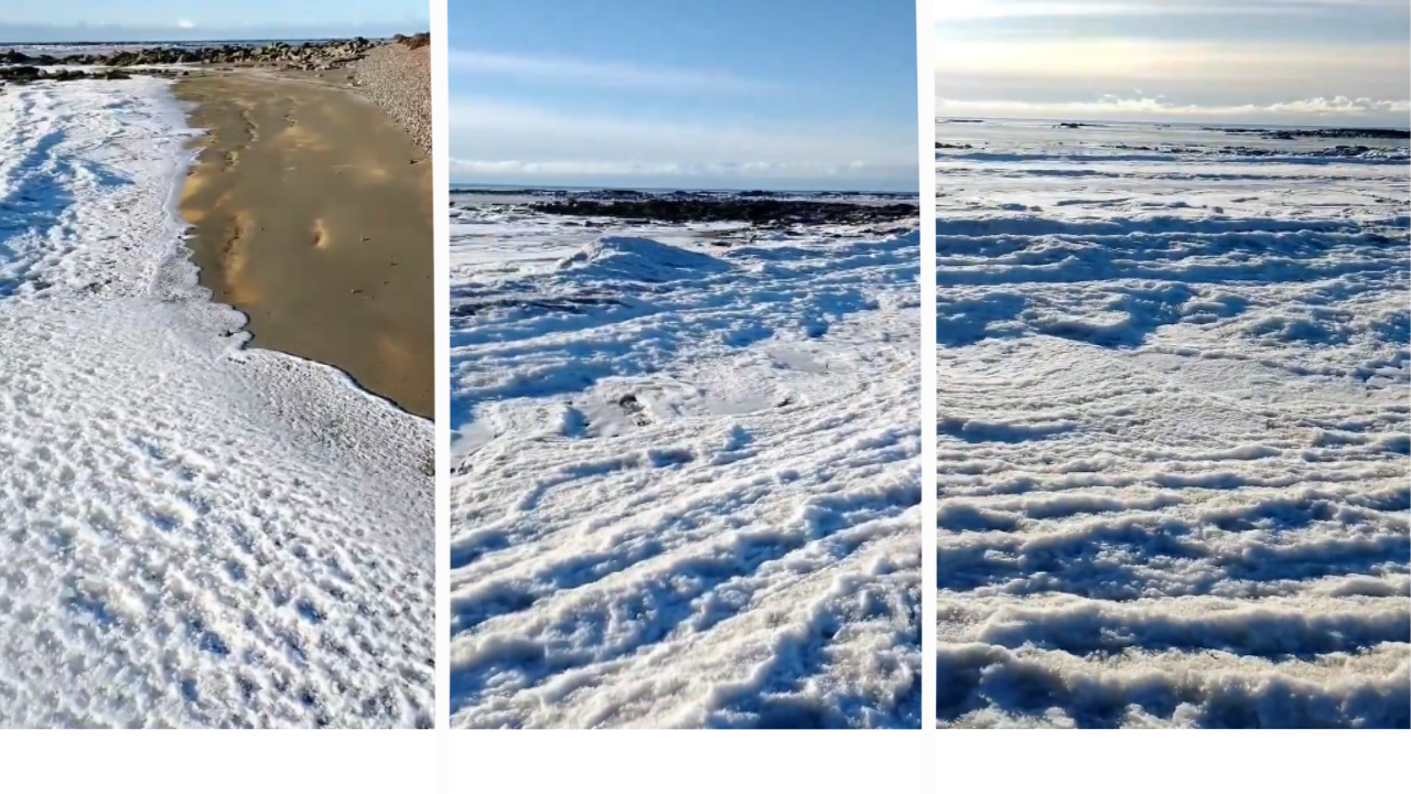 Três momentos do congelamento do mar na Terra do Fogo (Argentina) -  (crédito: Reprodução/Redes sociais)