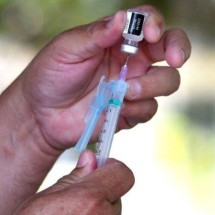 Sem vacinação, doenças esquecidas podem voltar, alertam especialistas - Ed Alves/CB/DA.Press