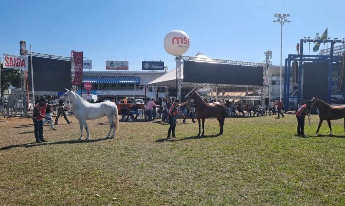 A Expomontes é uma das maiores feiras agropecuárias do estado -  (crédito: Luiz Ribeiro/EM/DA Press)