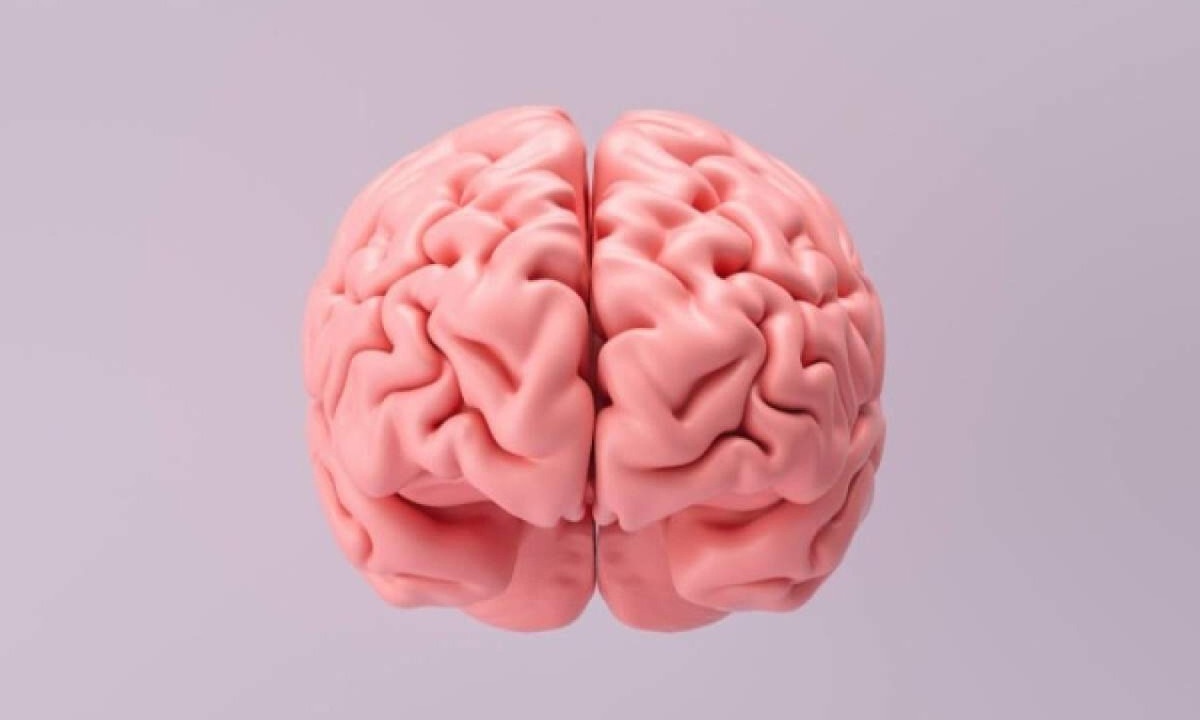 Alguns hábitos podem ser grandes vilões do cérebro    -  (crédito: r.classen | Shutterstock EdiCase - Geral)