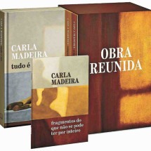 Carla Madeira reflete sobre processo criativo de seus livros - Reprodução