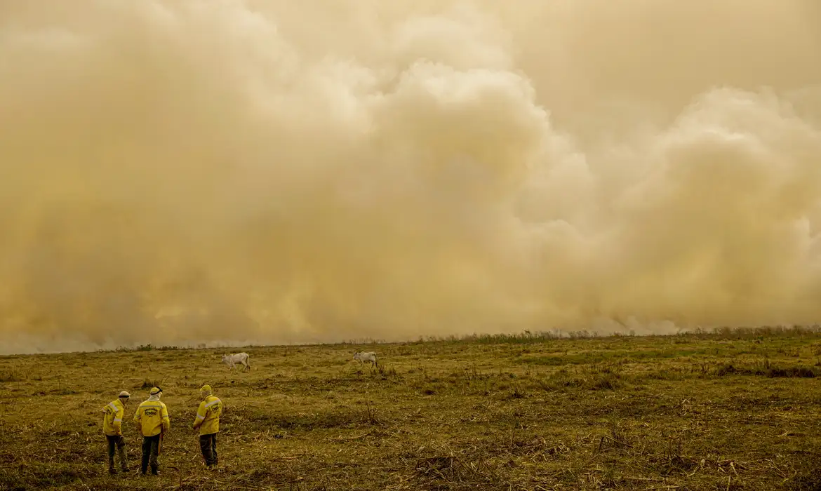 Queimada no Pantanal persiste mesmo após proibição de manejo do fogo -  (crédito: EBC)