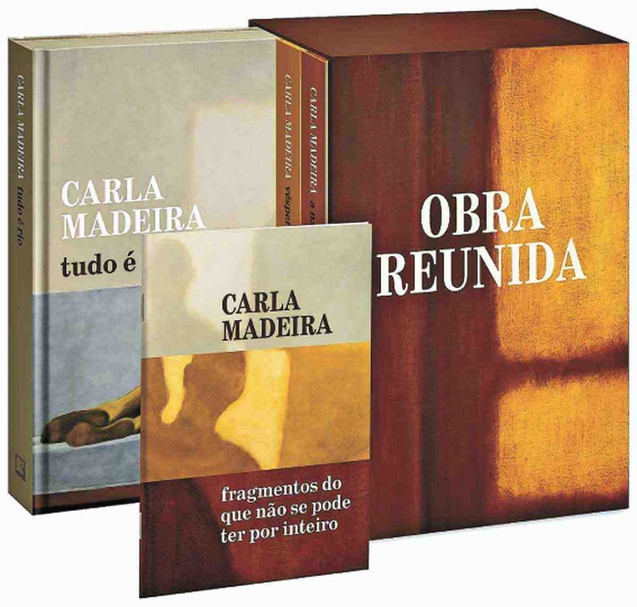 Carla Madeira reflete sobre processo criativo de seus livros