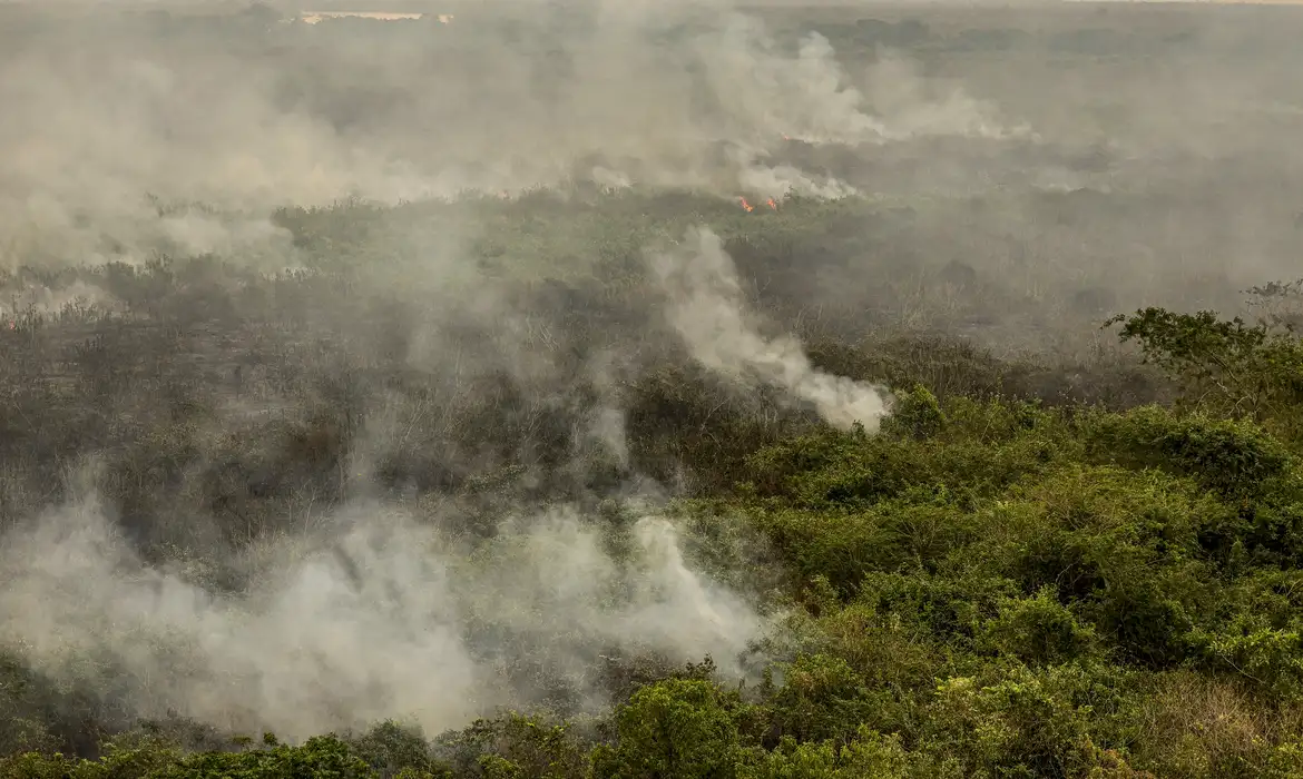 Força Nacional reforça equipe de combate a incêndios no Pantanal -  (crédito: EBC)