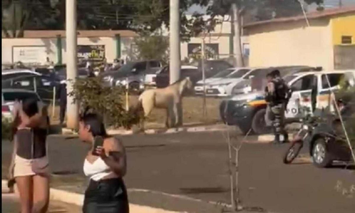 Além de participantes do evento, policiais se feriram -  (crédito: Reprodução/Redes sociais)