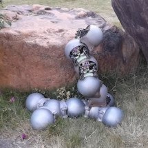 Cientistas criam "robô-caracol" capaz de acessar terrenos difíceis - reprodução