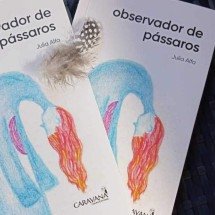 "Observador de pássaros": livro traduz em voos as dores da depressão - Carlos Altman/EM