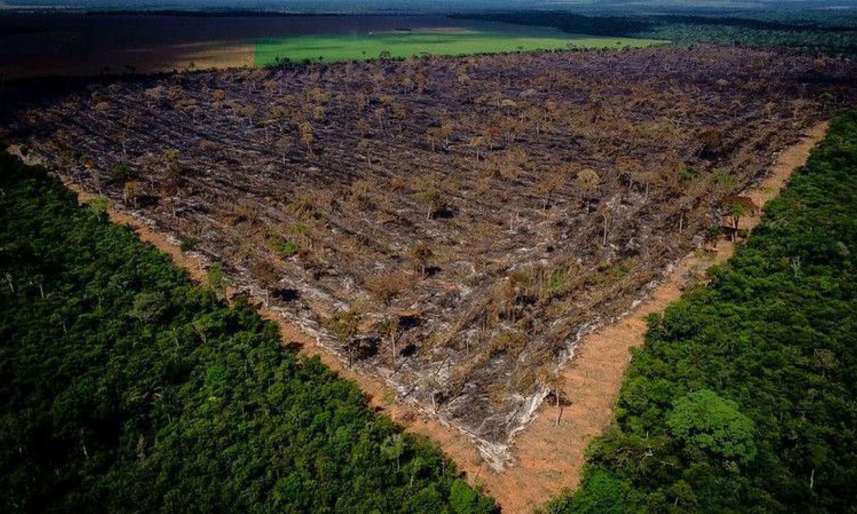 Soja é uma das principais commodities produzidas nas fazendas de Mato Grosso -  (crédito: Reuters)