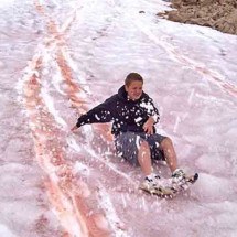 "Neve melancia": fenômeno que tinge as montanhas de rosa preocupa ambientalistas -  Kory J. Collier/Wikimédia Commons