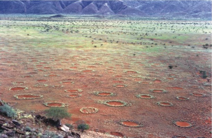 Círculos de fadas? Anéis "misteriosos" se espalham pelo mundo - wikimedia commons Stephan Getzin