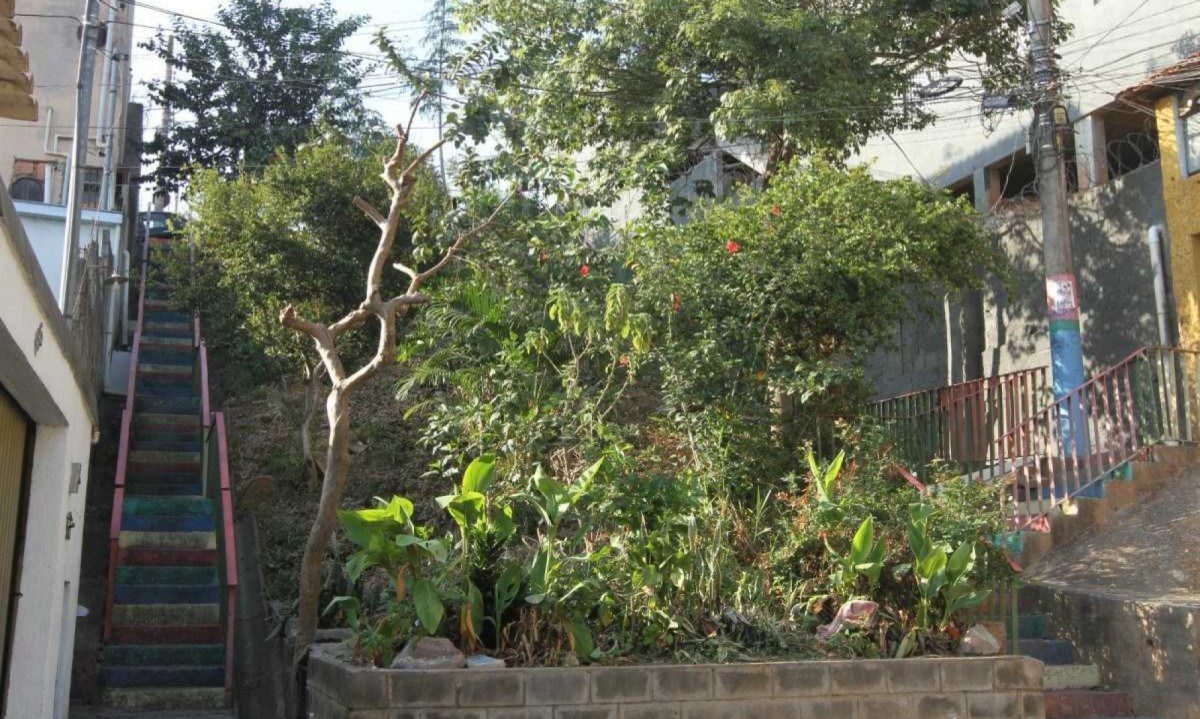 Entenda o que é e qual a importância da agroecologia, prática adotada por moradores do Bairro Esplanada
 -  (crédito: Jair Amaral/EM/D.A Press. Brasil. Belo Horizonte)