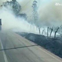 Vídeo: incêndio às margens da BR-381 complica trânsito na rodovia - Reprodução / Redes sociais