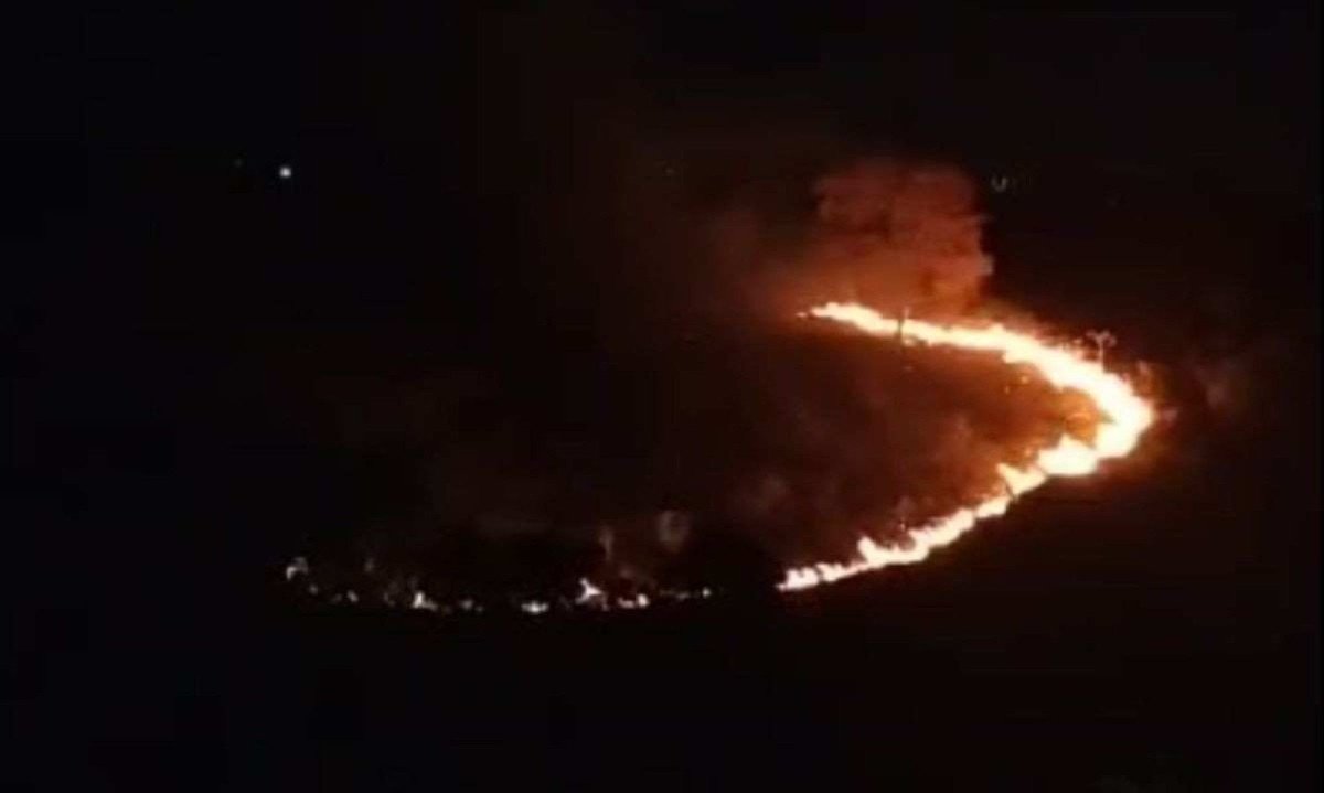 Incêndio foi na Via Expressa, no Bairro Califórnia. Ainda não há estimativa do tamanho da área queimada -  (crédito: Reprodução/Corpo de Bombeiros)
