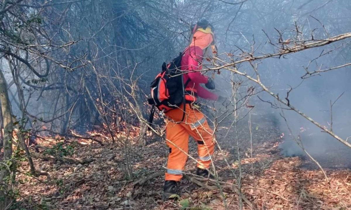 O Corpo de Bombeiros combate incêndio florestal às margens do Rio Guavinipã, na Fazenda das Pedras, em Bocaiuva, no Norte de Minas, em 2021 -  (crédito: Corpo de Bombeiros/Divulgação)