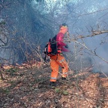 Minas apresenta balanço e estratégias para enfrentar incêndios florestais  - Corpo de Bombeiros/Divulgação