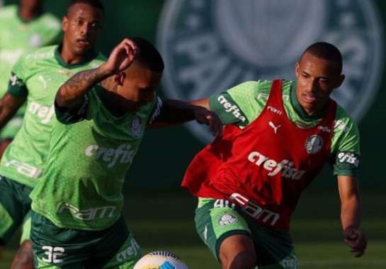 Foto: Cesar Greco/Palmeiras