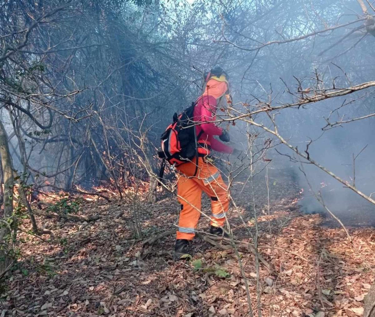 Minas apresenta balanço e estratégias para enfrentar incêndios florestais 