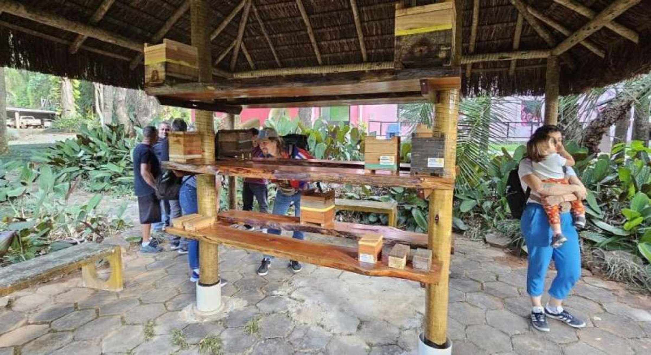 Museu de História Natural e Jardim Botânico de BH é reaberto para visitação