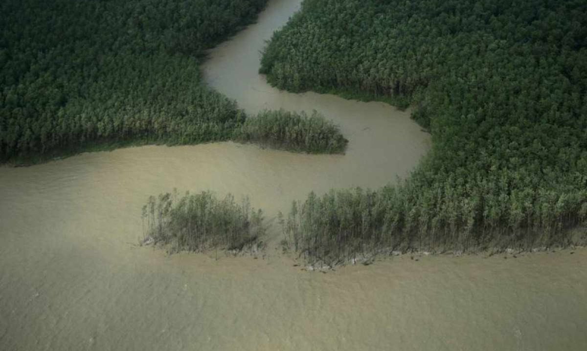 Costa do AmapÃ¡ -  (crédito: ReproduÃ§Ã£o)