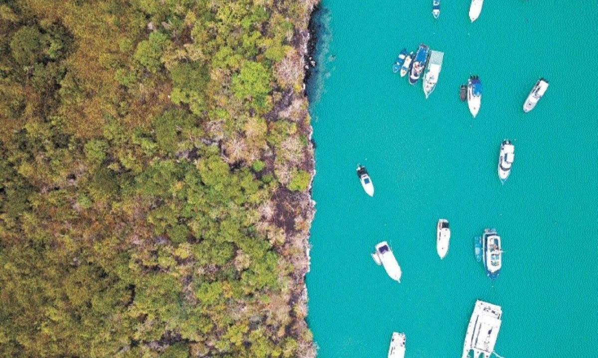 Assim como em 1831, o Oosterschelde deixou o porto inglês de Plymouth para recriar a viagem ao redor do mundo do naturalista Charles Darwin. Já nas Galápagos, os expedicionários encontraram um arquipélago diferente daquele que fundou a teoria da evolução das espécies -  (crédito: Carlos Espinosa / AFP)