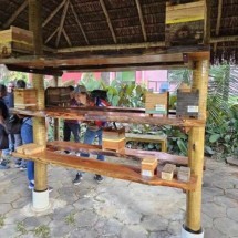 Museu de História Natural e Jardim Botânico de BH é reaberto para visitação - UFMG/Divulgação